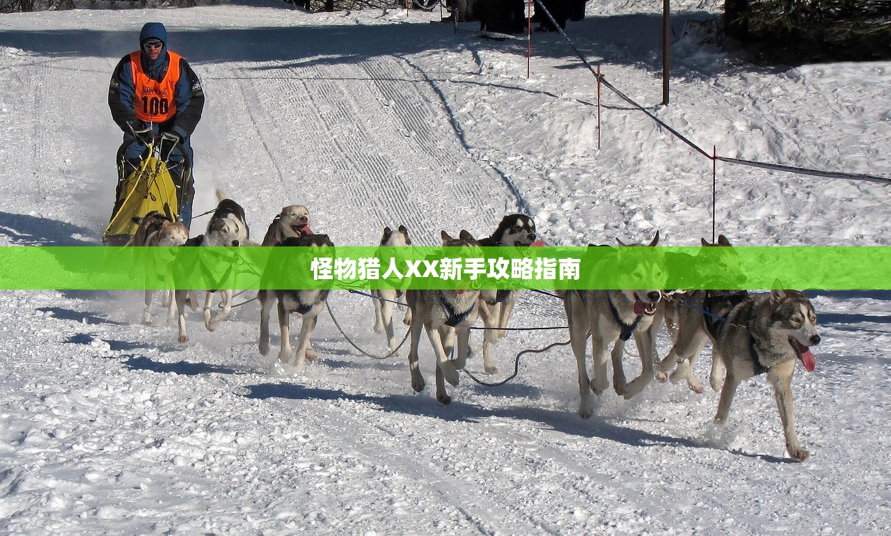 怪物猎人XX新手攻略指南