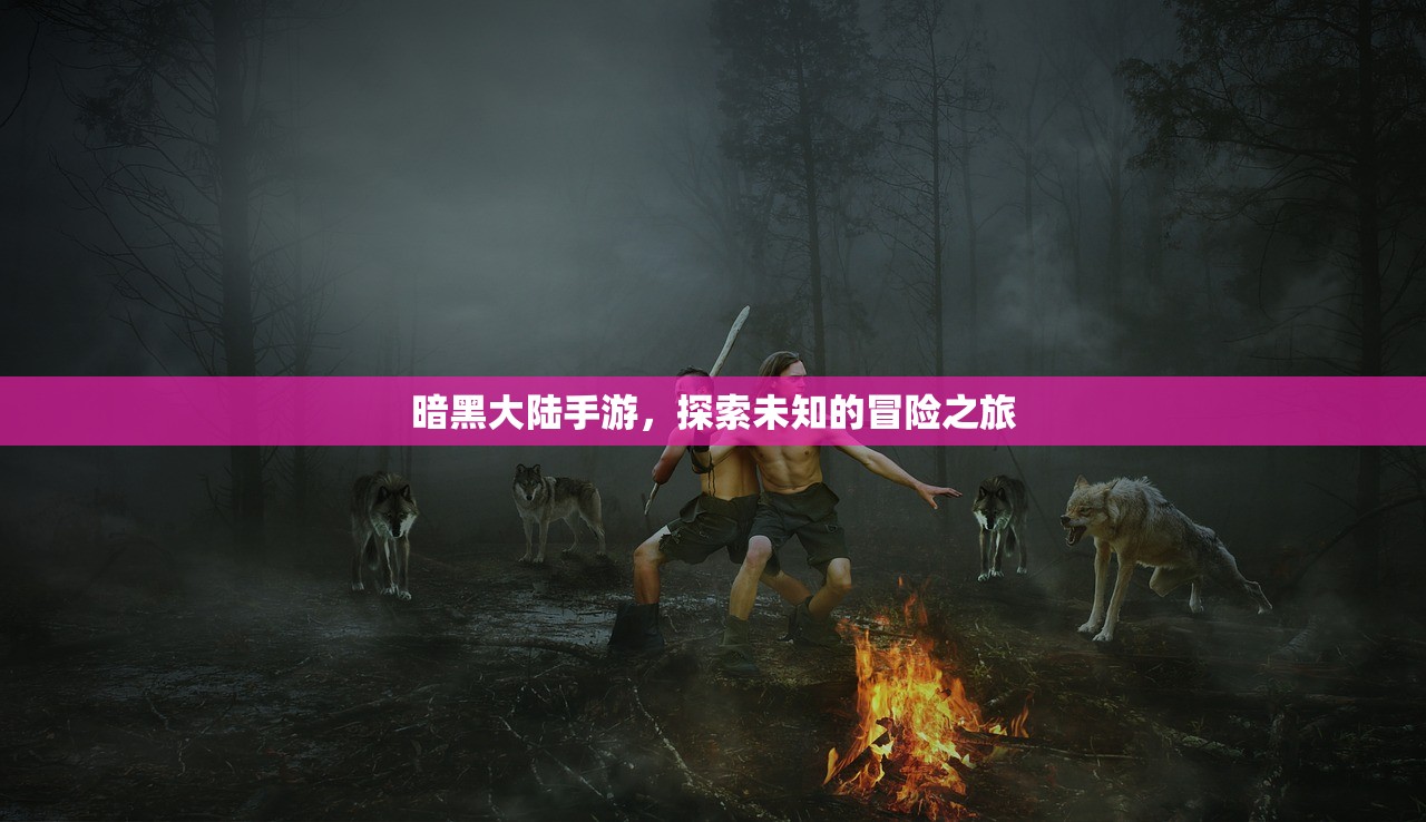 暗黑大陆手游，探索未知的冒险之旅