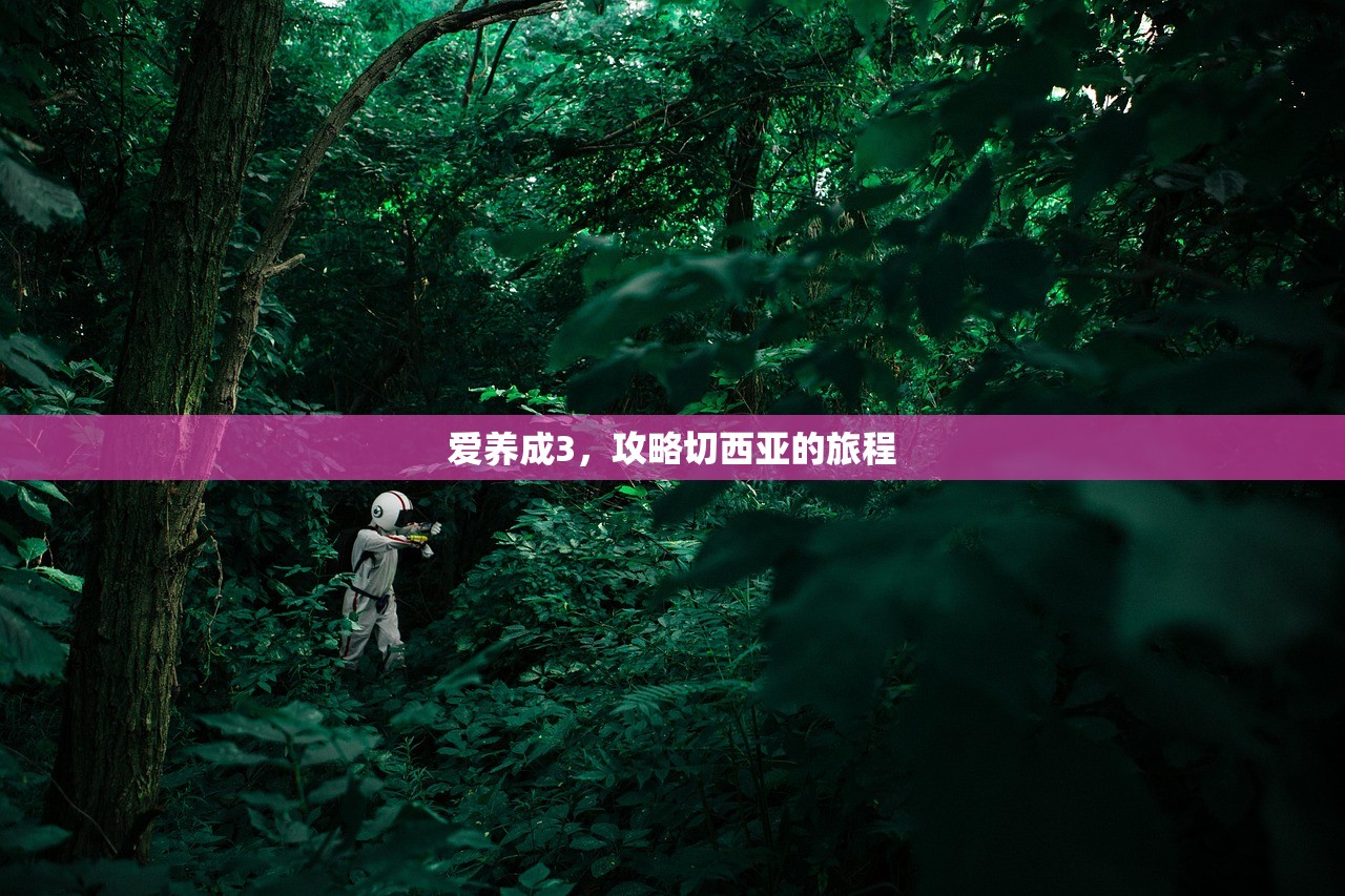 爱养成3，攻略切西亚的旅程