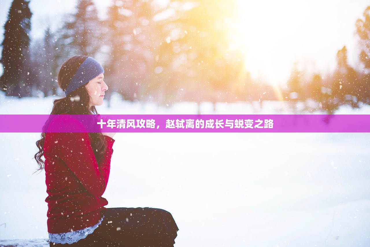 十年清风攻略，赵轼离的成长与蜕变之路