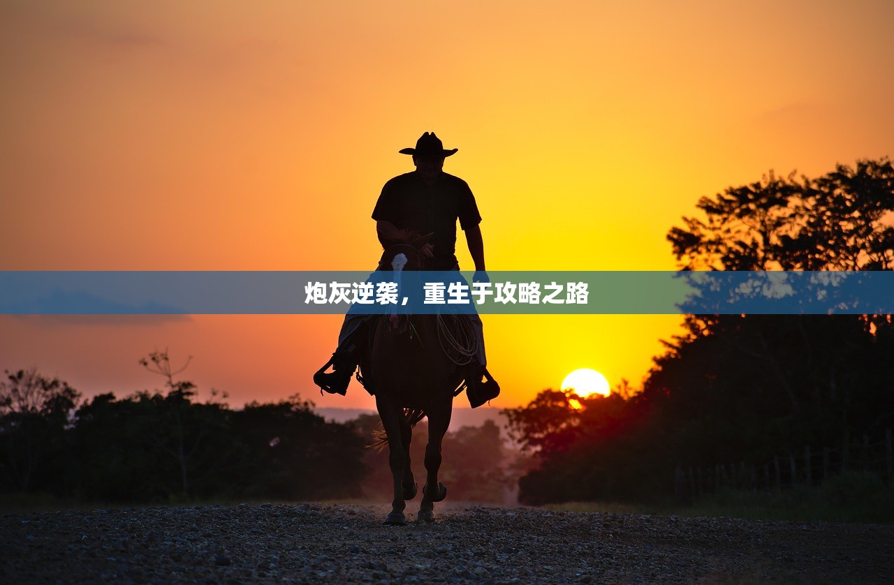 炮灰逆袭，重生于攻略之路