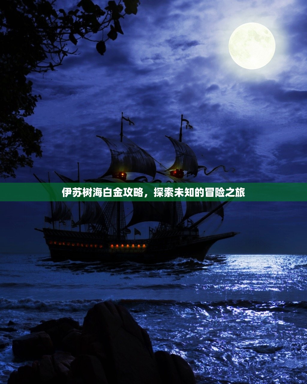 伊苏树海白金攻略，探索未知的冒险之旅