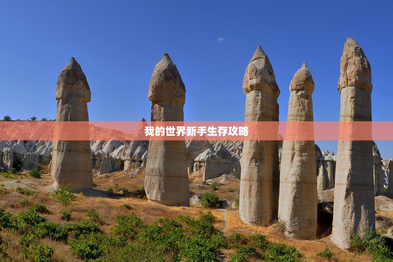 我的世界新手生存攻略