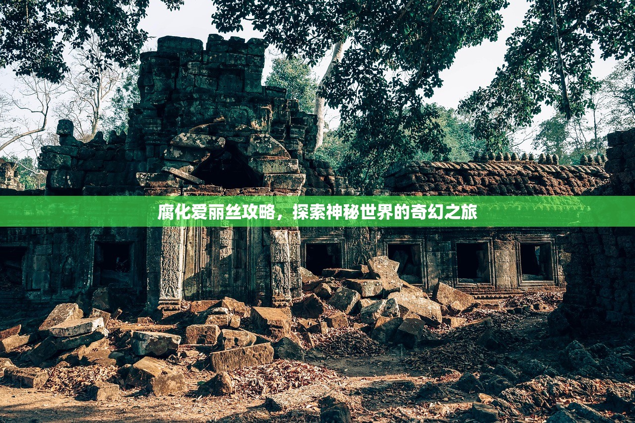腐化爱丽丝攻略，探索神秘世界的奇幻之旅