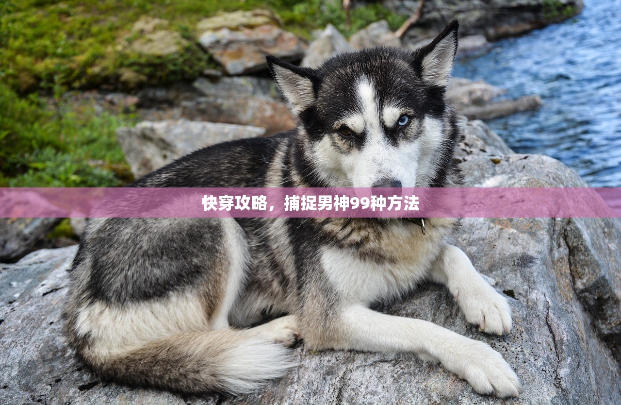 快穿攻略，捕捉男神99种方法