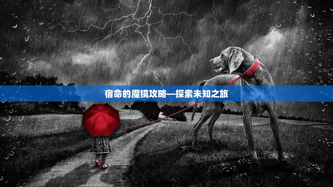宿命的魔镜攻略—探索未知之旅