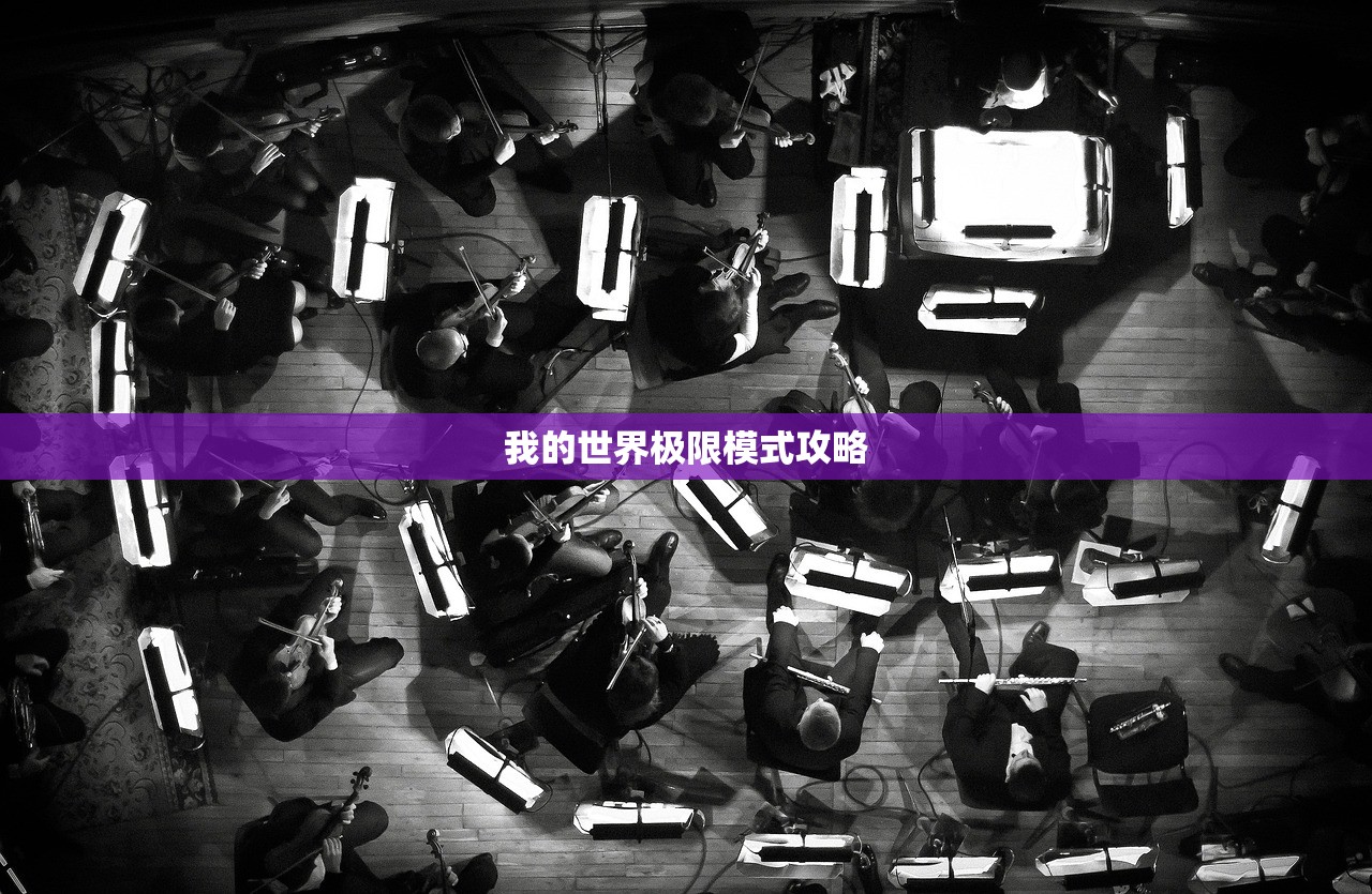 我的世界极限模式攻略