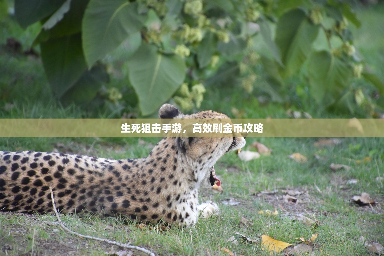 生死狙击手游，高效刷金币攻略