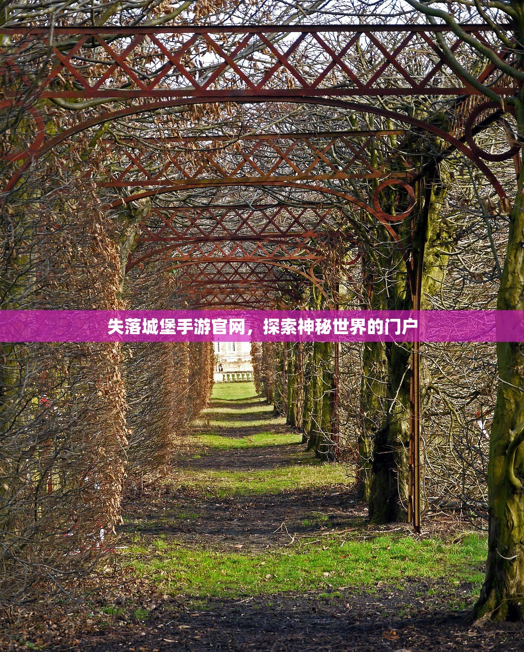 失落城堡手游官网，探索神秘世界的门户