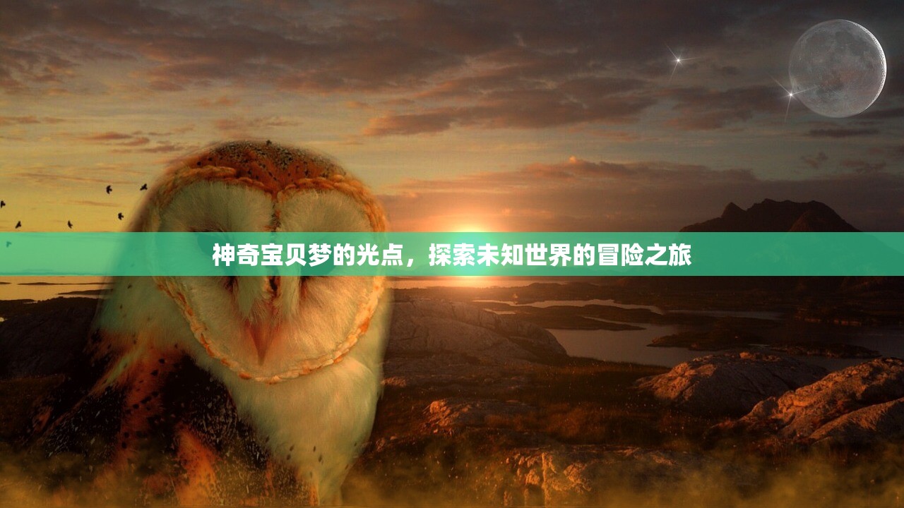 神奇宝贝梦的光点，探索未知世界的冒险之旅