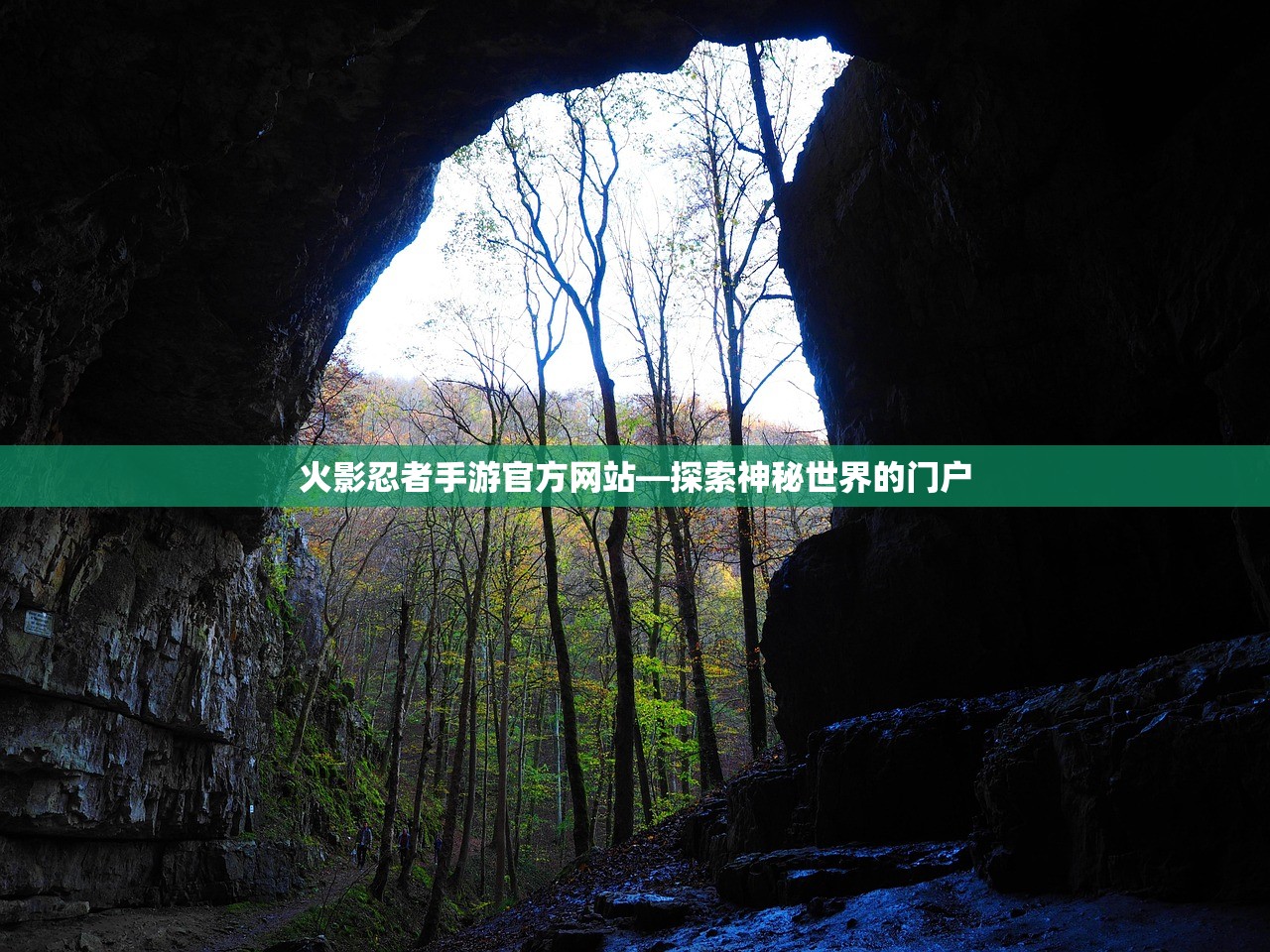 火影忍者手游官方网站—探索神秘世界的门户