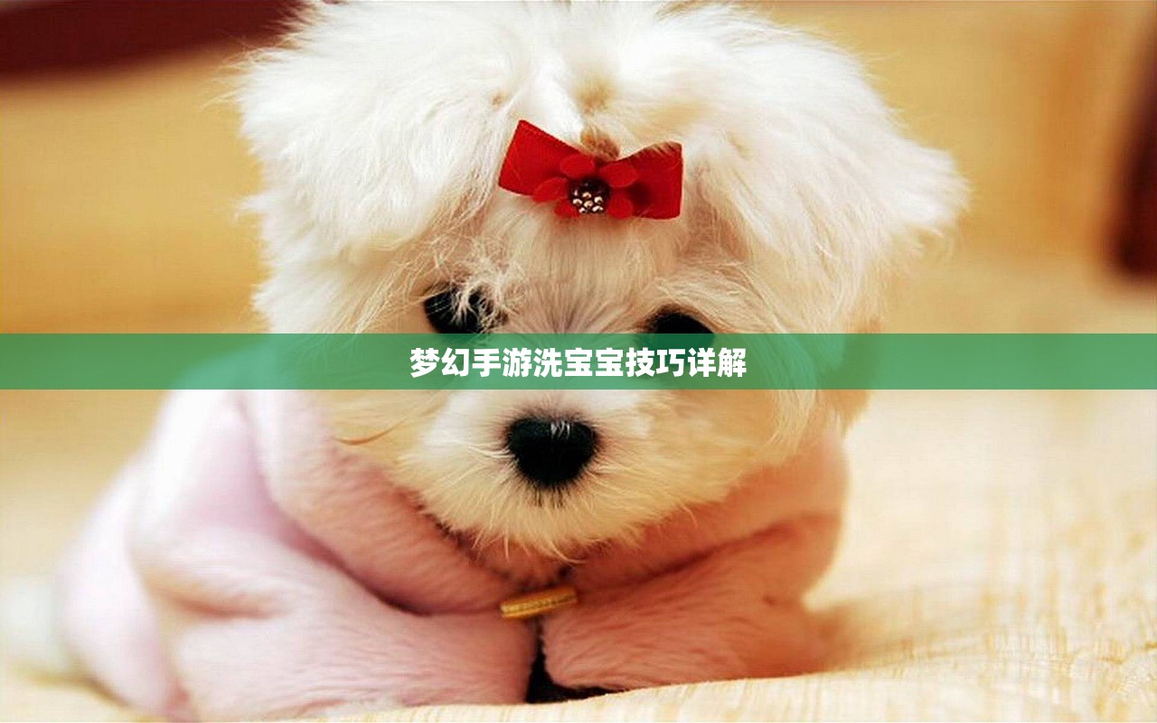 梦幻手游洗宝宝技巧详解