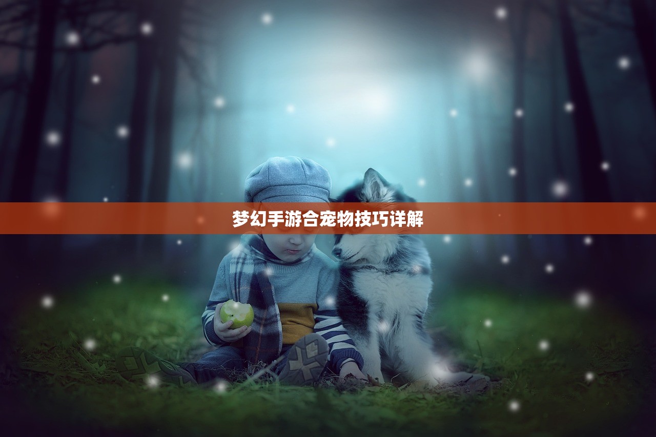 梦幻手游合宠物技巧详解
