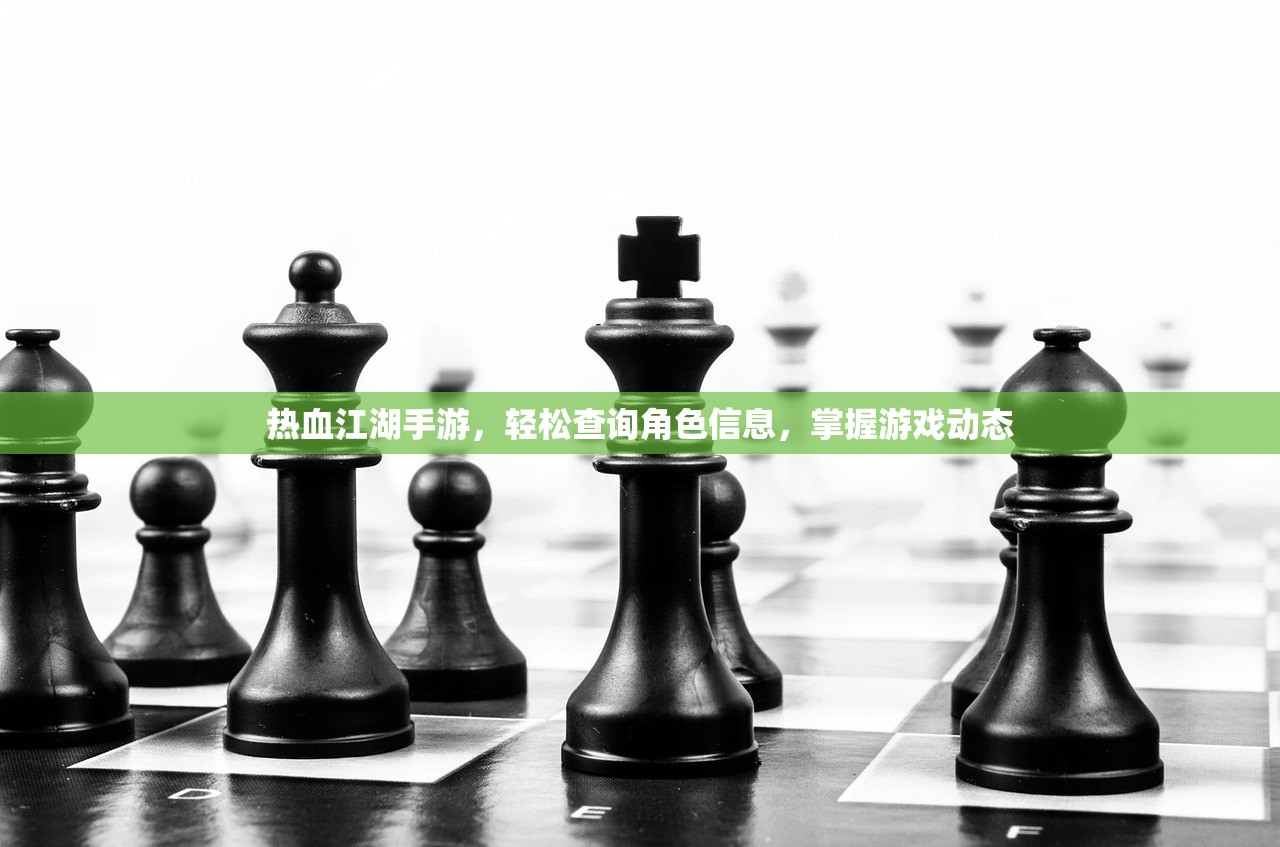 热血江湖手游，轻松查询角色信息，掌握游戏动态