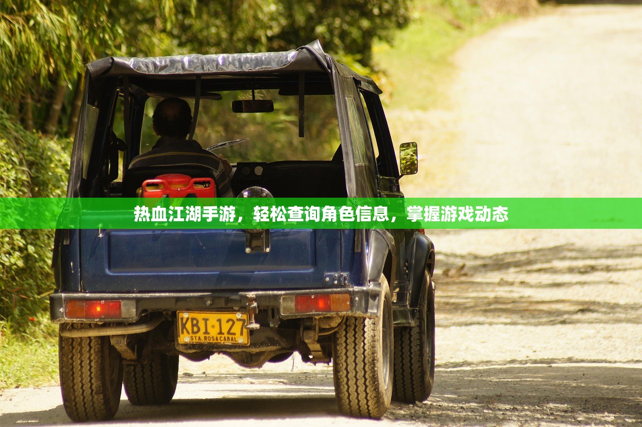 热血江湖手游，轻松查询角色信息，掌握游戏动态