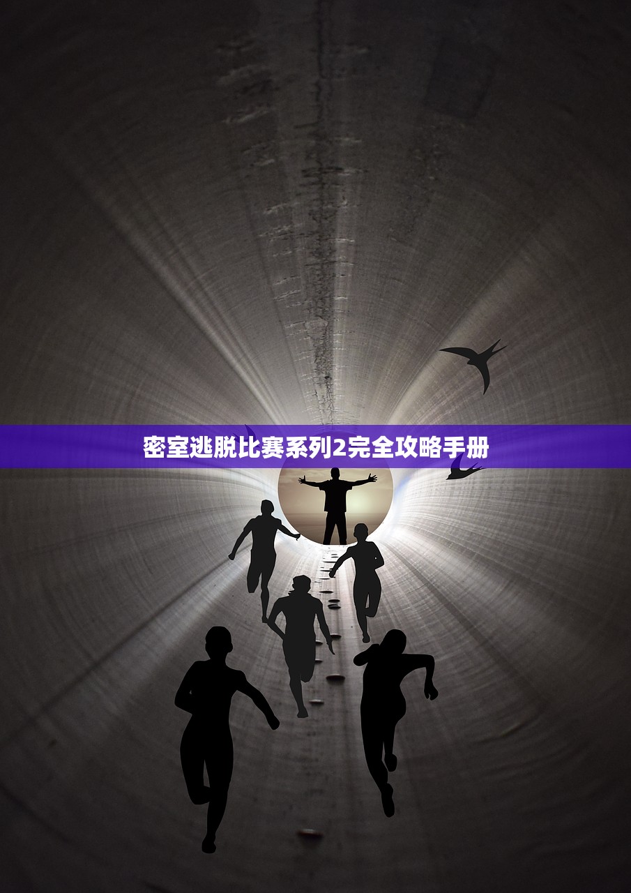密室逃脱比赛系列2完全攻略手册