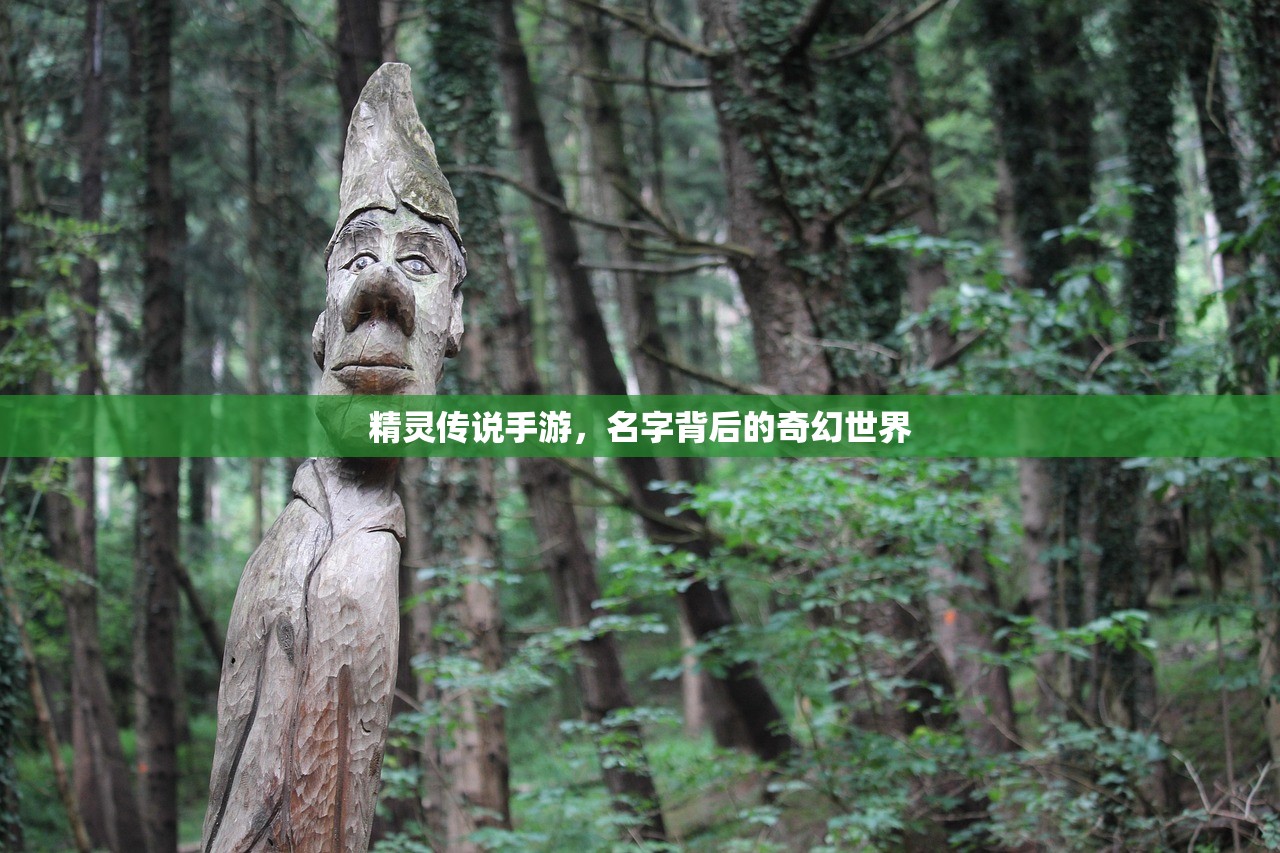 精灵传说手游，名字背后的奇幻世界