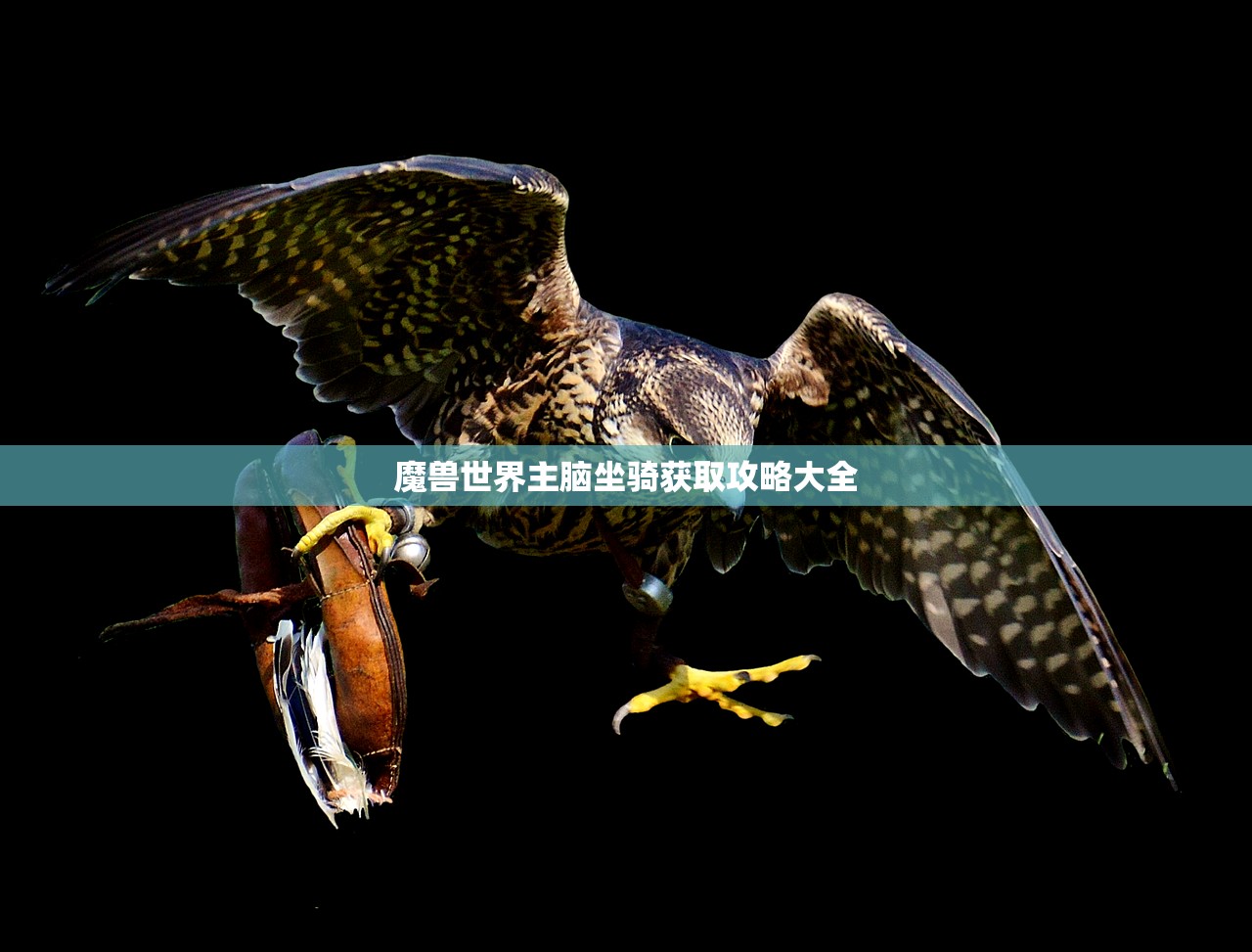 魔兽世界主脑坐骑获取攻略大全