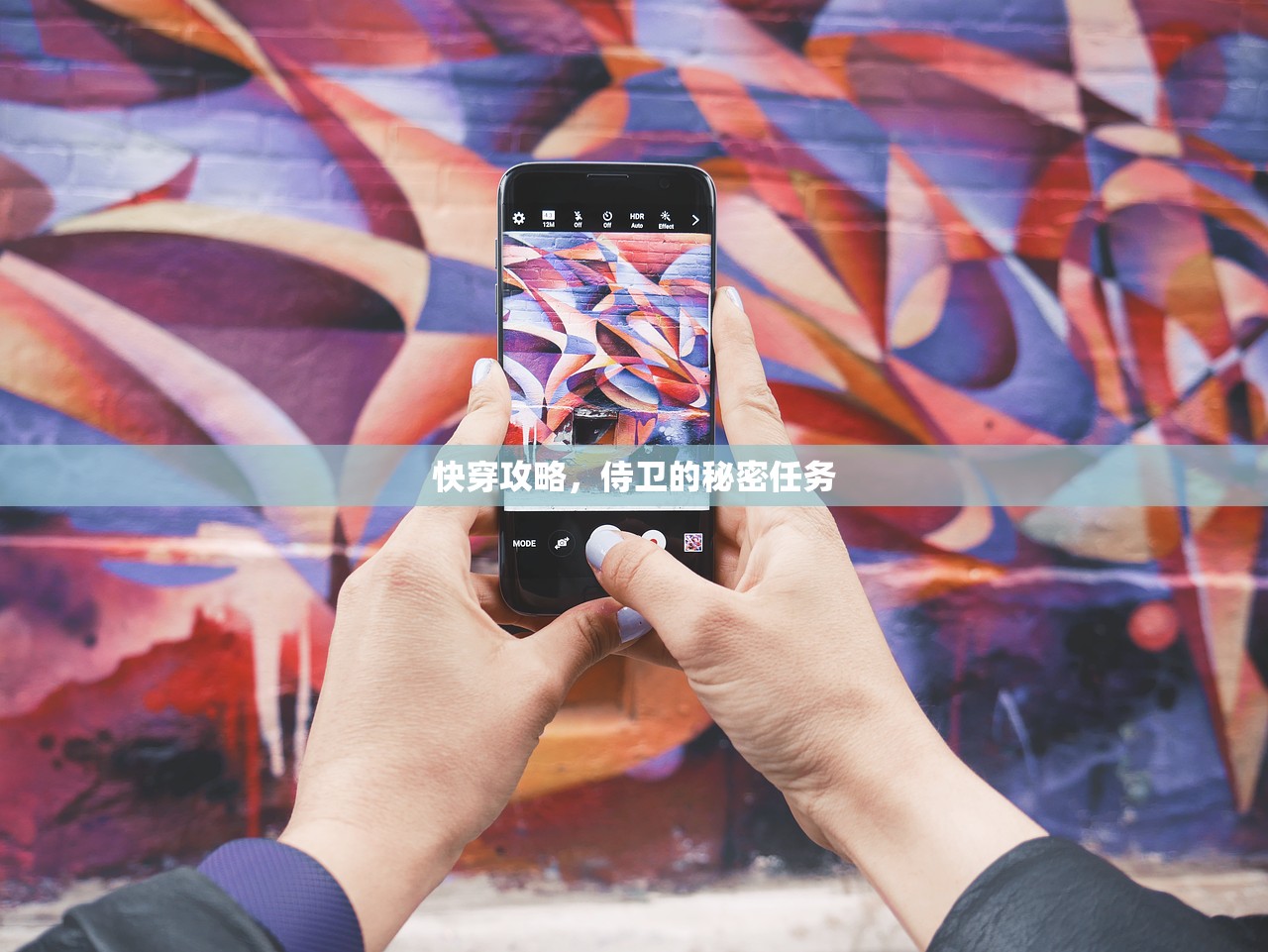 快穿攻略，侍卫的秘密任务