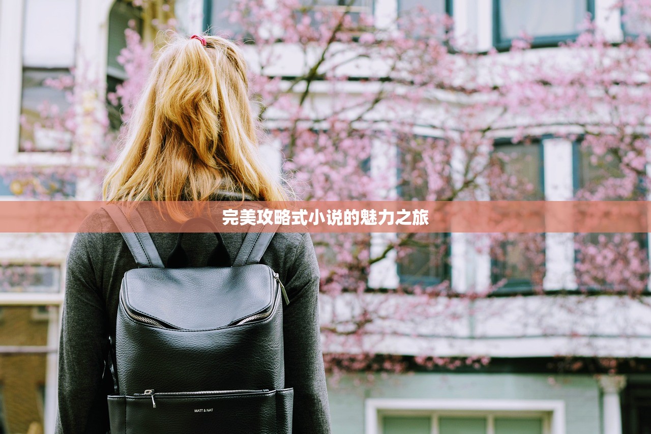 完美攻略式小说的魅力之旅