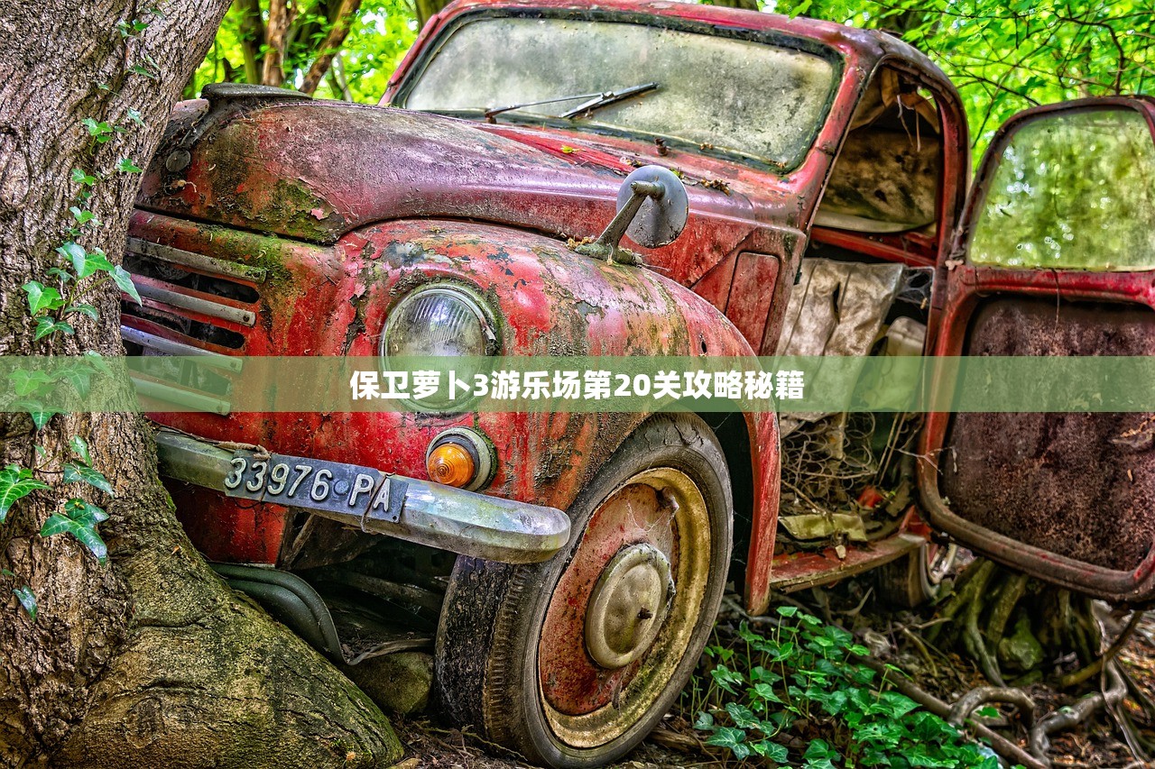 保卫萝卜3游乐场第20关攻略秘籍