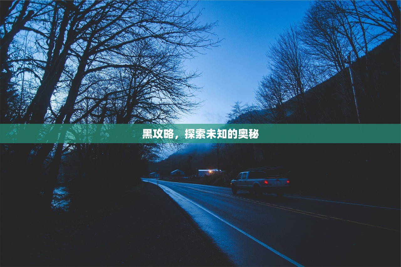 黑攻略，探索未知的奥秘