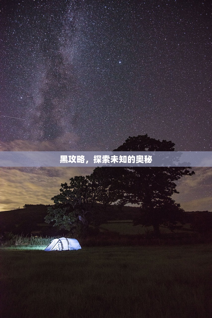黑攻略，探索未知的奥秘