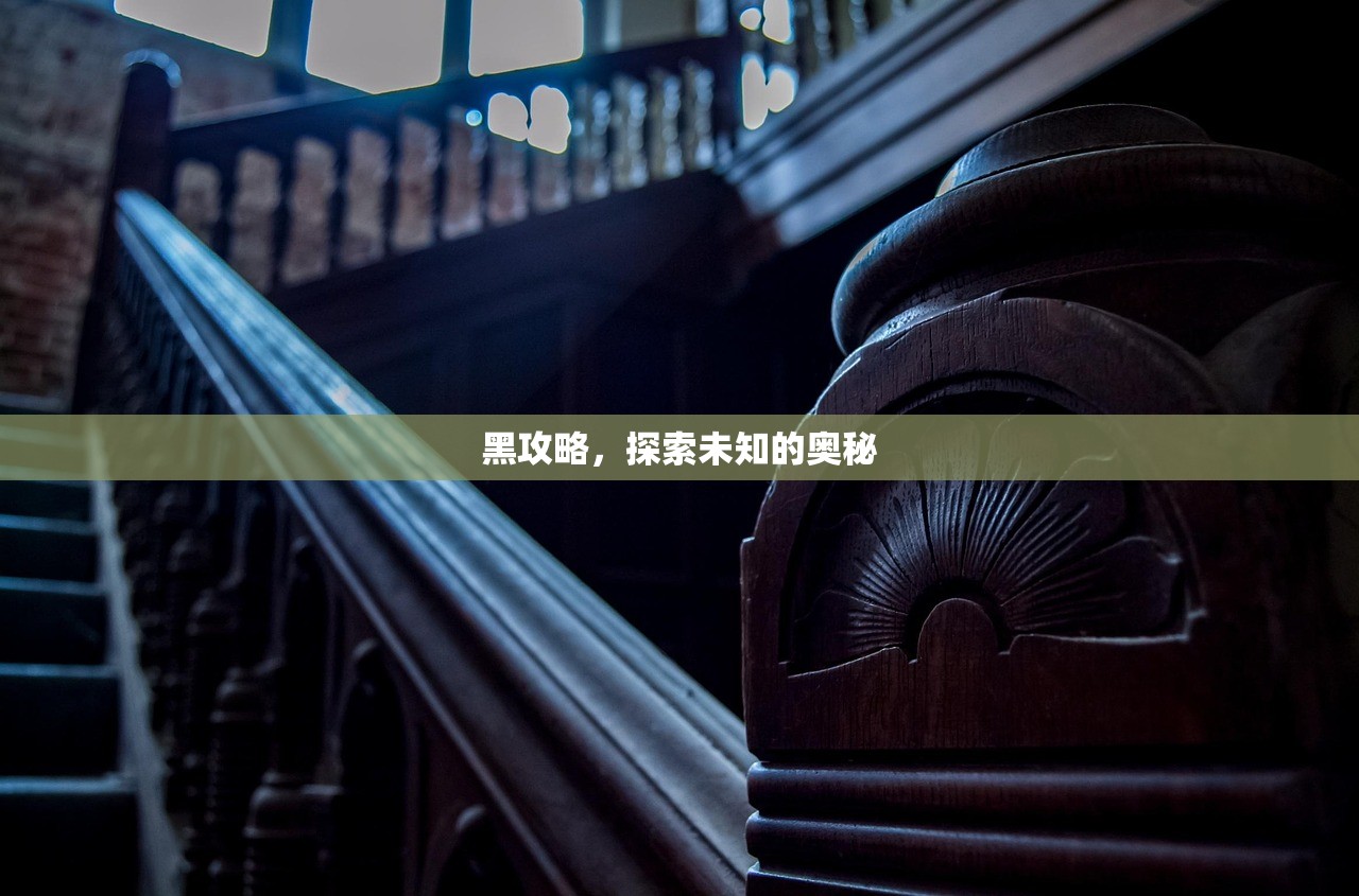 黑攻略，探索未知的奥秘