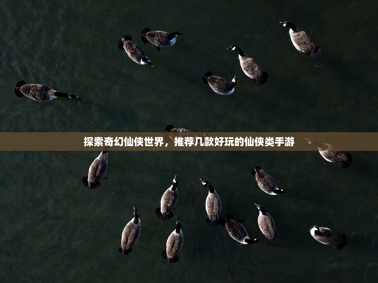 探索奇幻仙侠世界，推荐几款好玩的仙侠类手游
