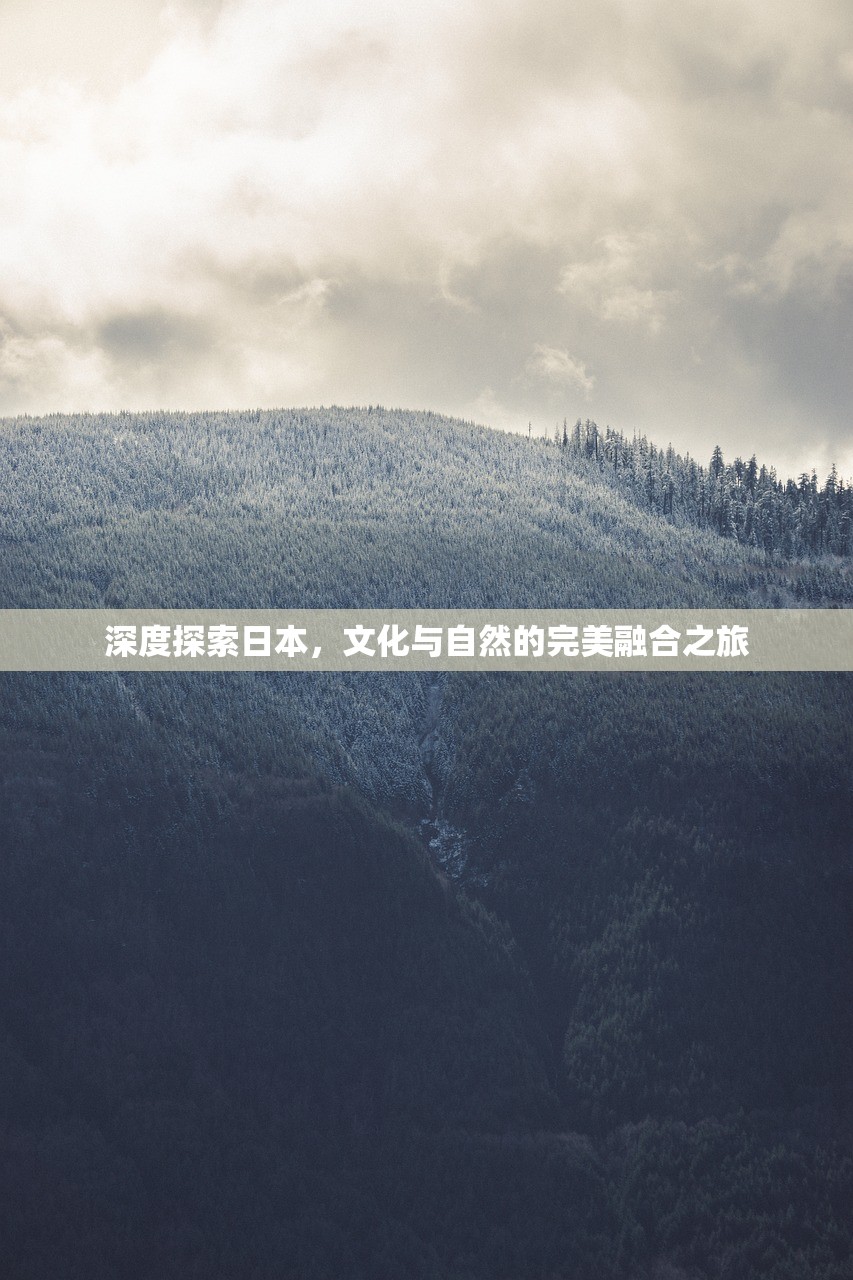 深度探索日本，文化与自然的完美融合之旅