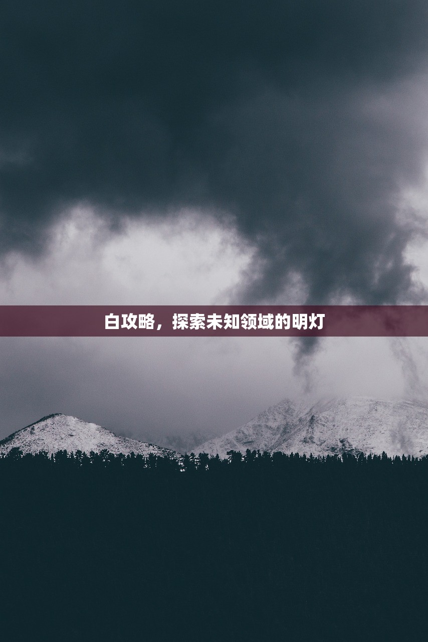 白攻略，探索未知领域的明灯