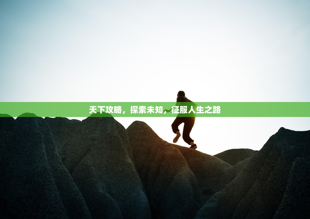 天下攻略，探索未知，征服人生之路