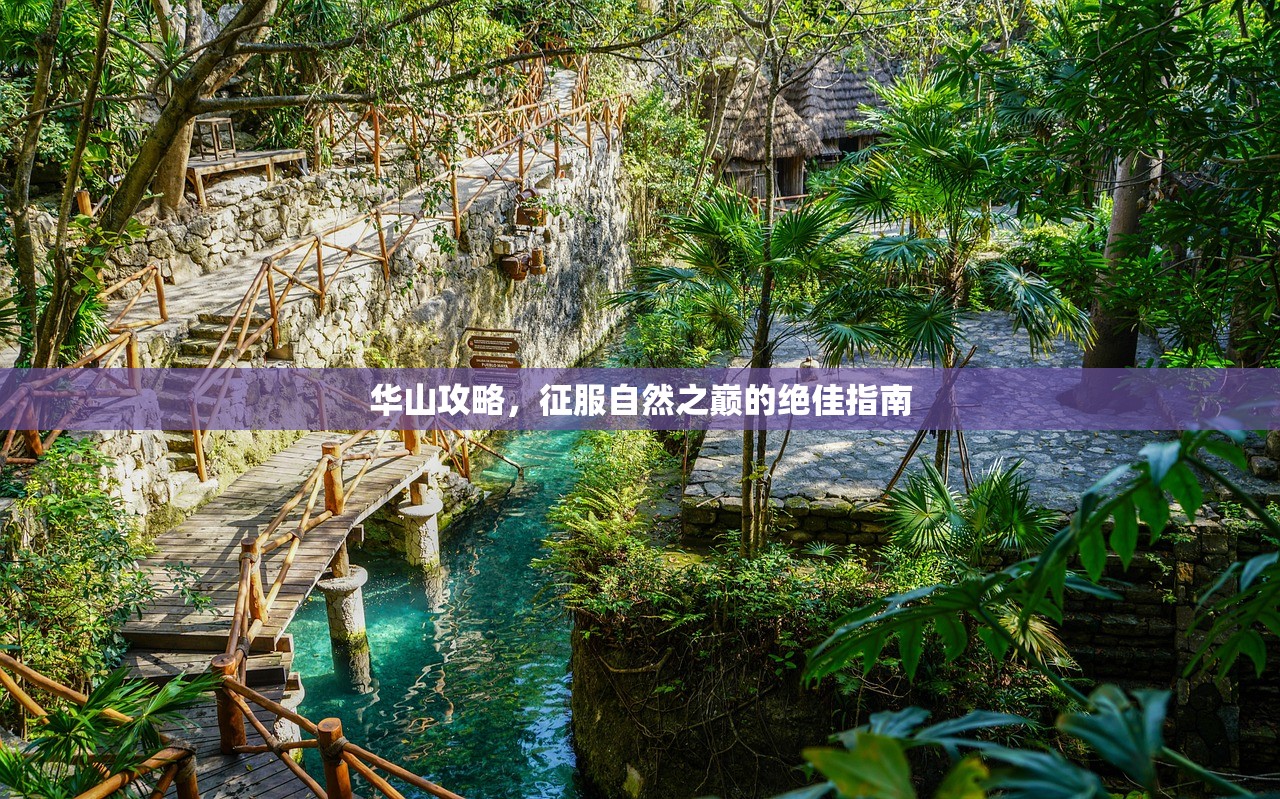 华山攻略，征服自然之巅的绝佳指南