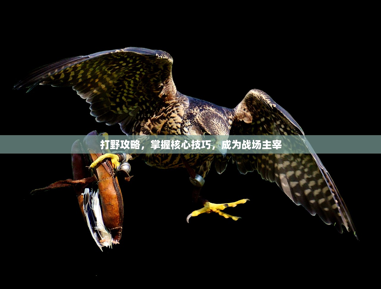 打野攻略，掌握核心技巧，成为战场主宰