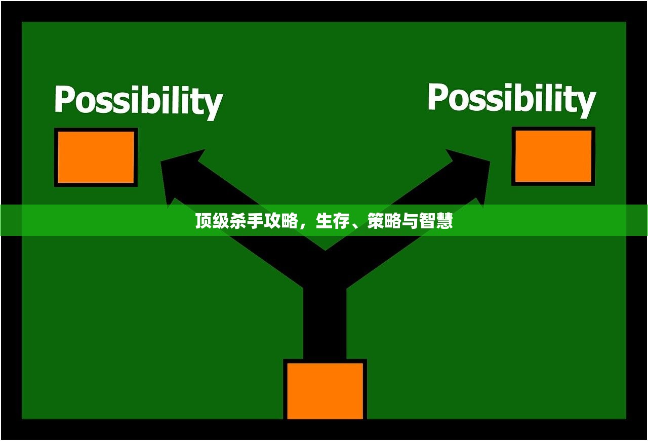 顶级杀手攻略，生存、策略与智慧