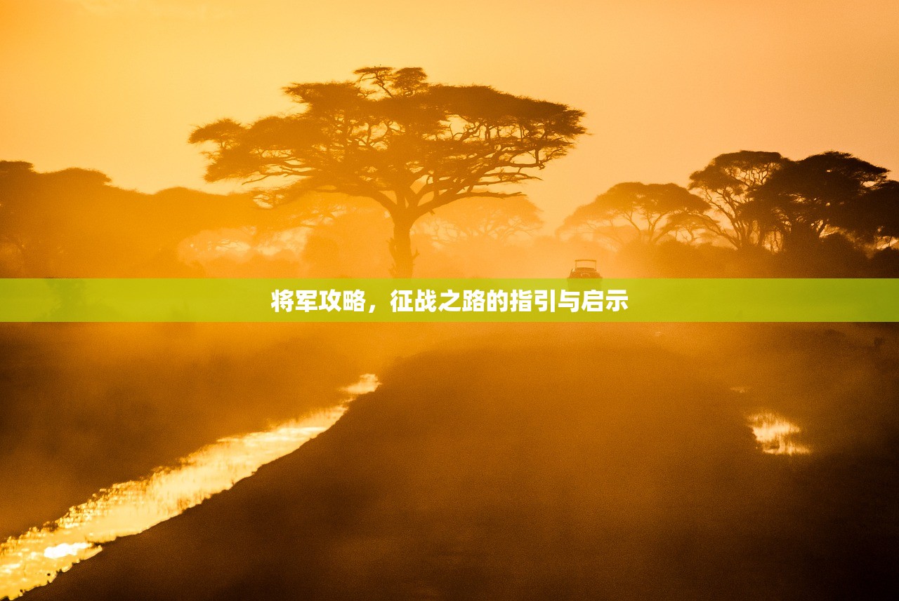 将军攻略，征战之路的指引与启示