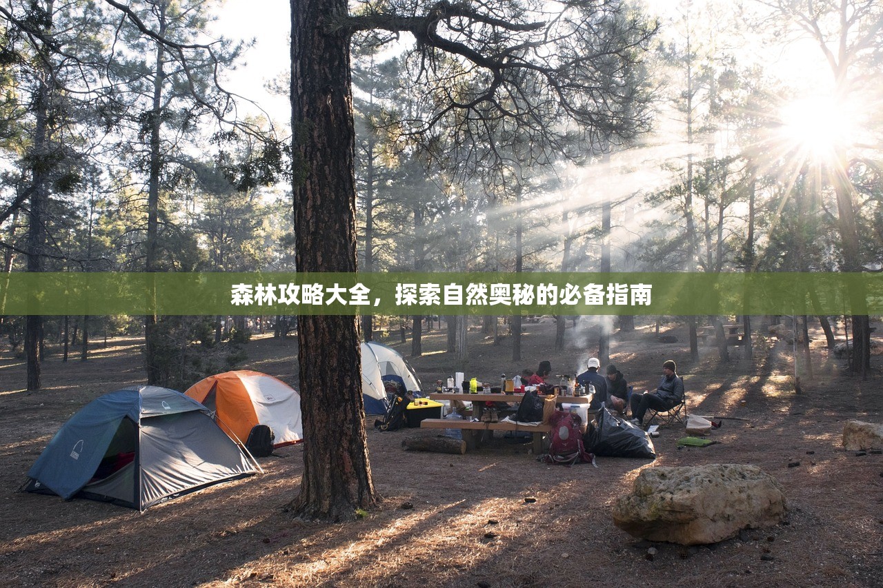 森林攻略大全，探索自然奥秘的必备指南