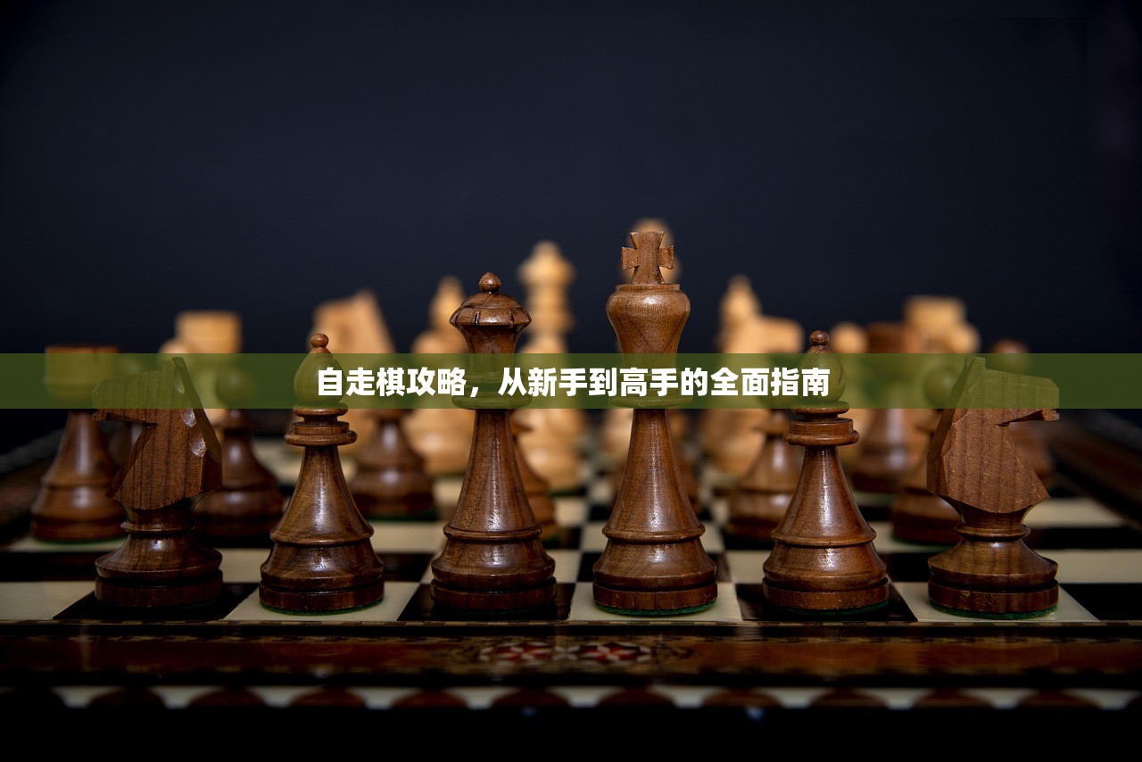 自走棋攻略，从新手到高手的全面指南