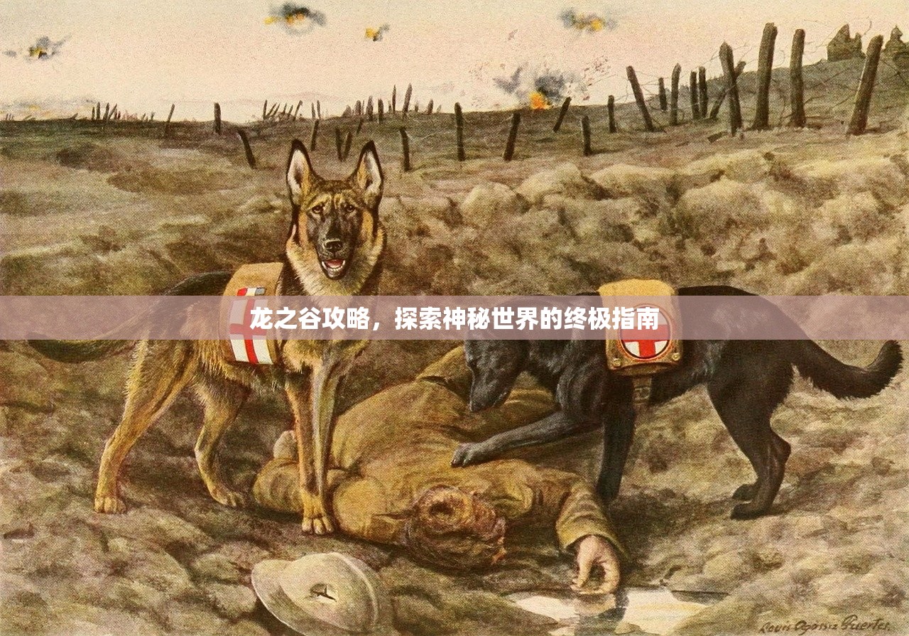 龙之谷攻略，探索神秘世界的终极指南