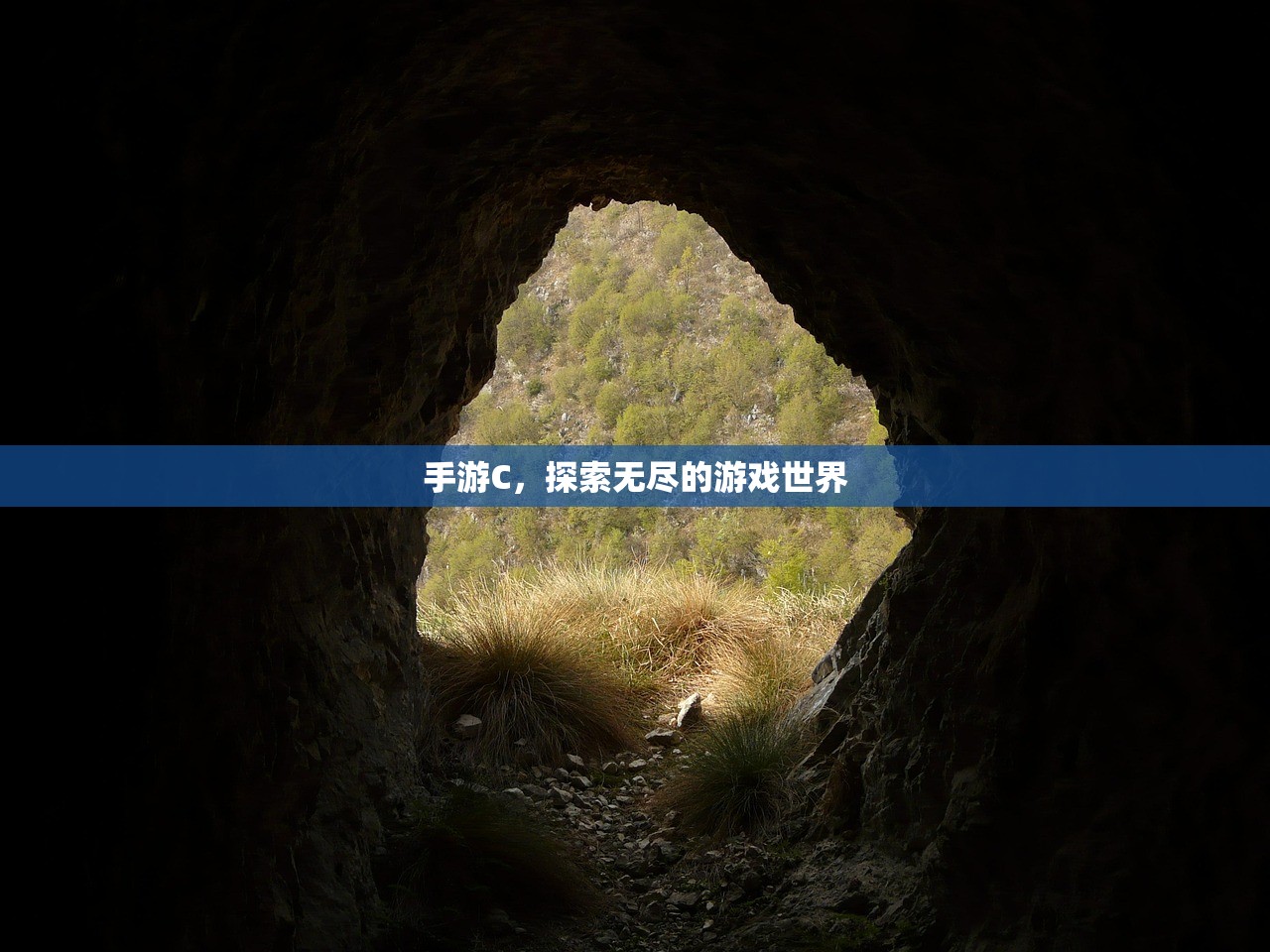 手游C，探索无尽的游戏世界