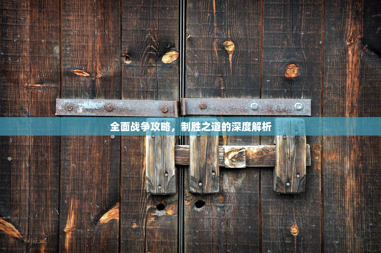 全面战争攻略，制胜之道的深度解析