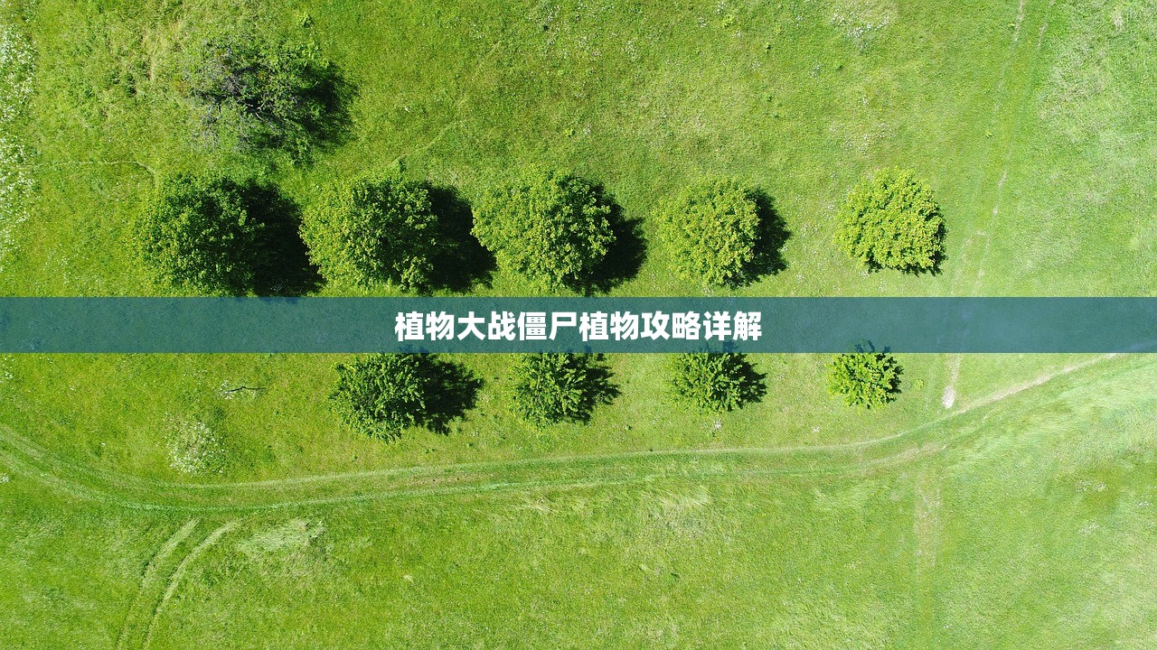 植物大战僵尸植物攻略详解
