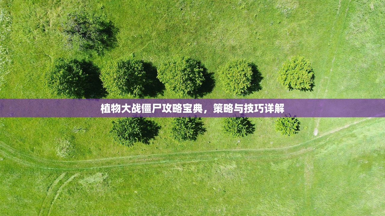 植物大战僵尸攻略宝典，策略与技巧详解