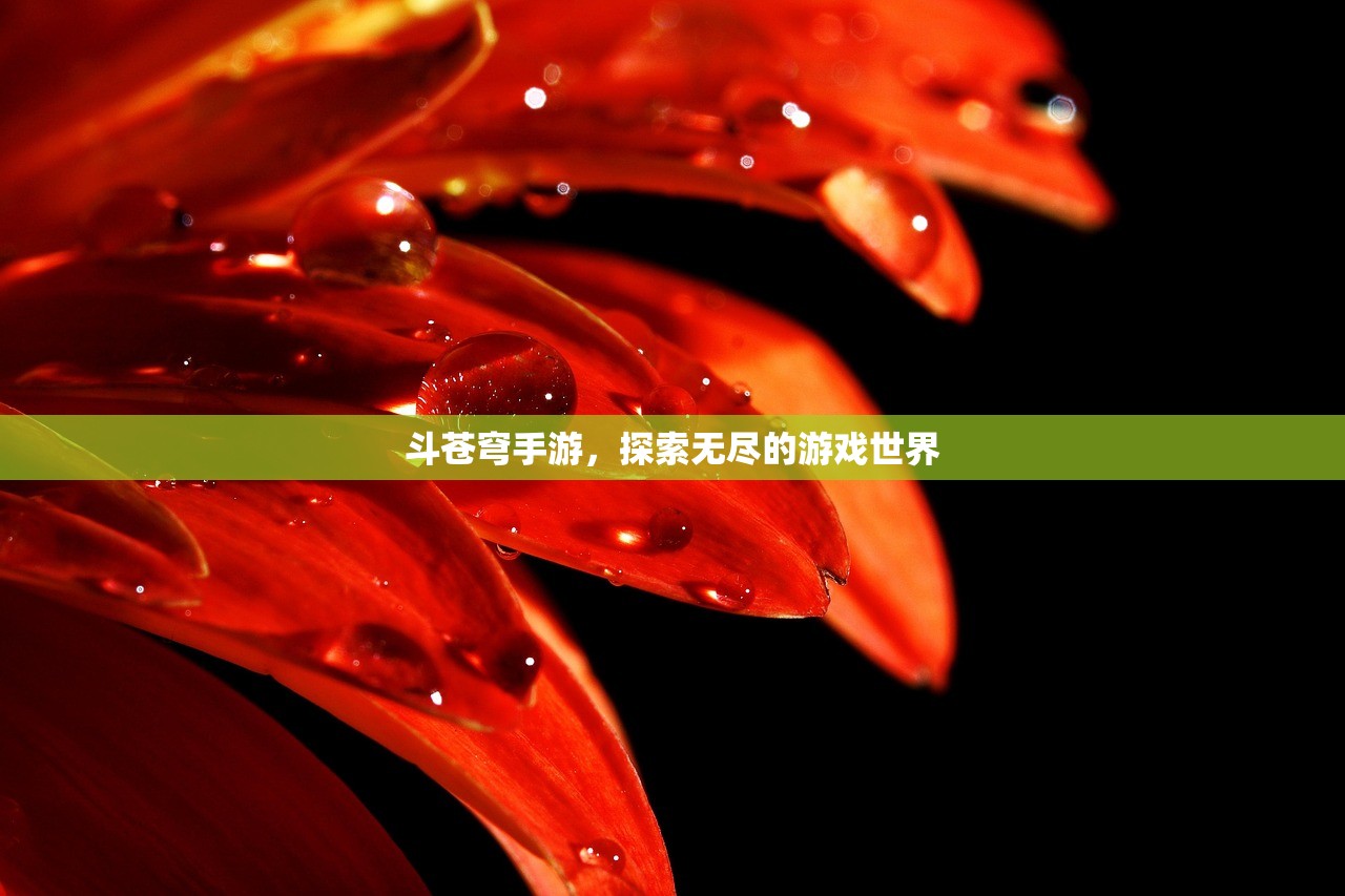 斗苍穹手游，探索无尽的游戏世界