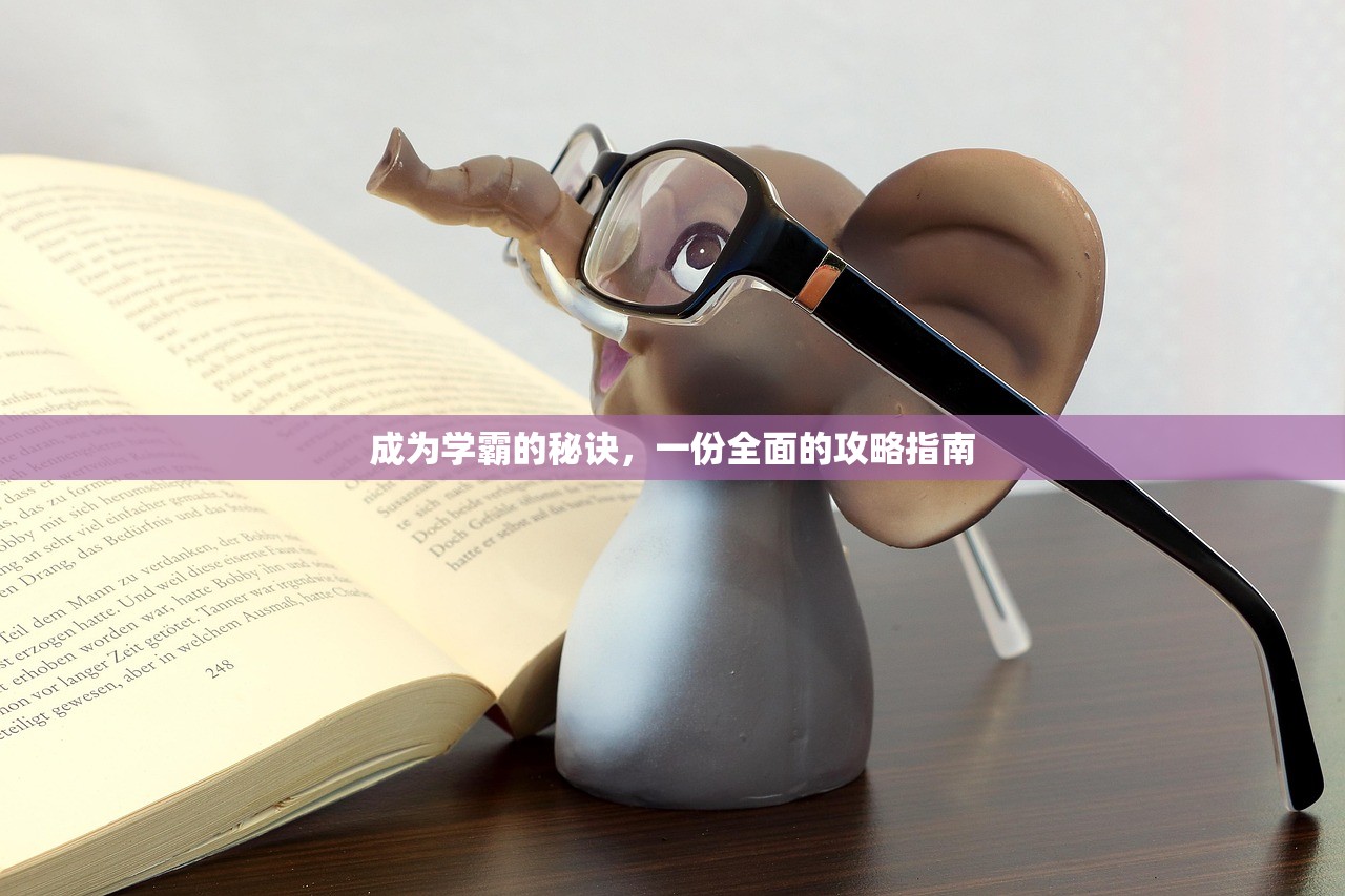 成为学霸的秘诀，一份全面的攻略指南