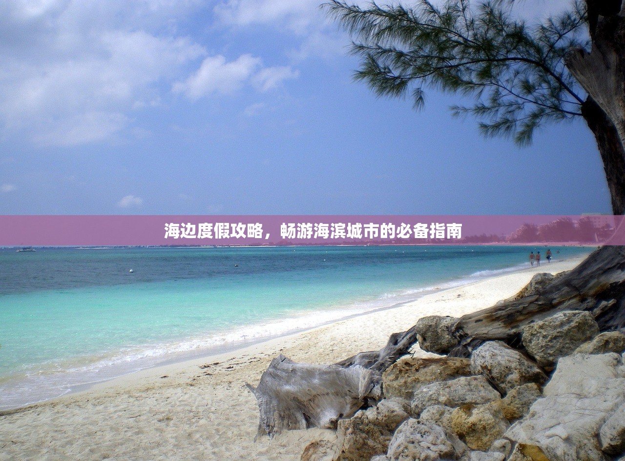 海边度假攻略，畅游海滨城市的必备指南