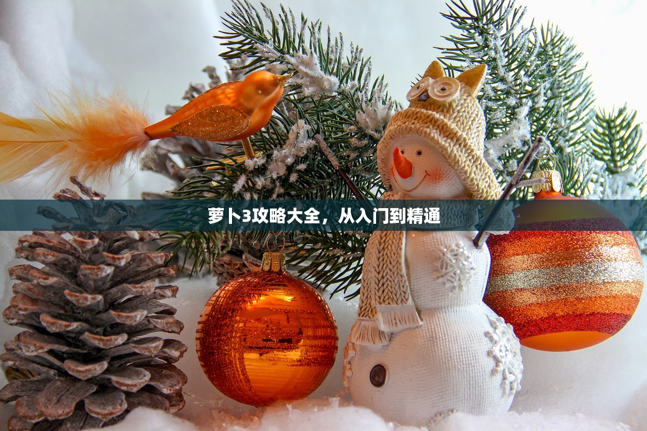 萝卜3攻略大全，从入门到精通
