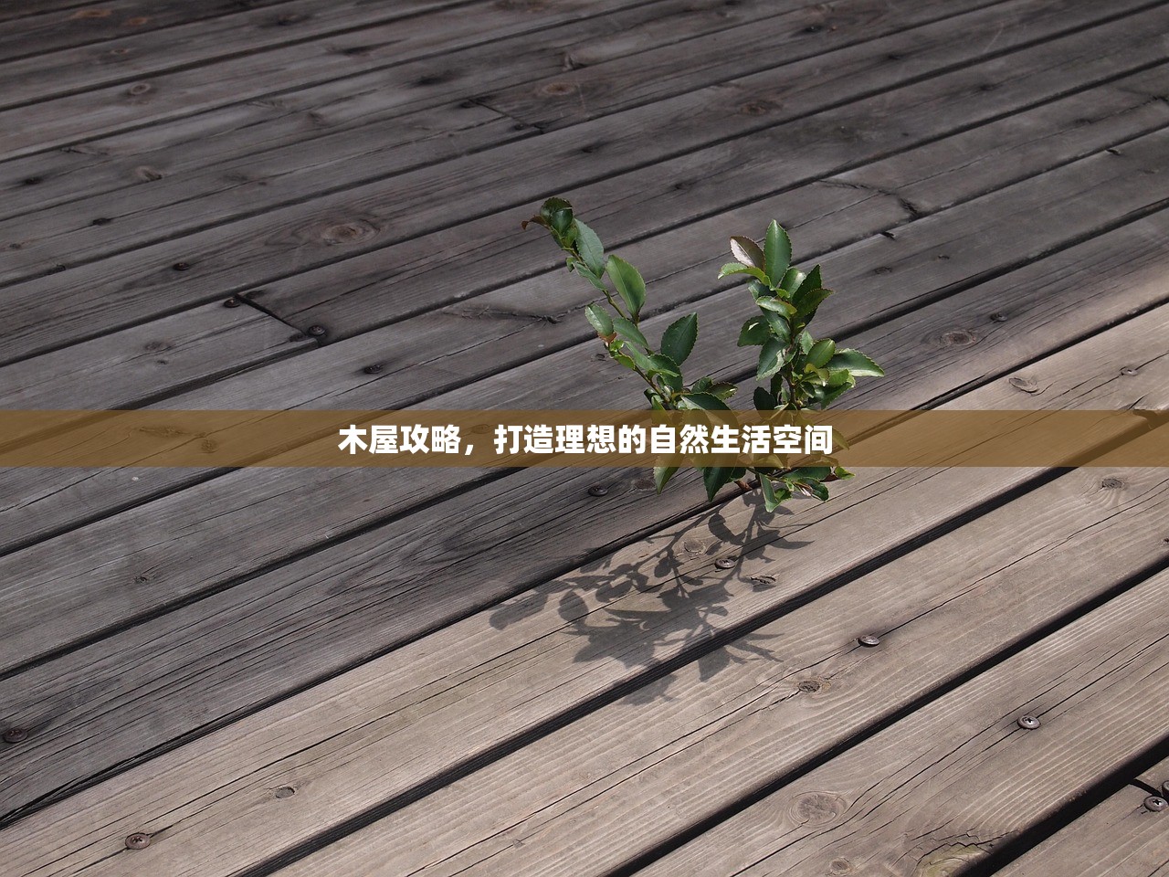 木屋攻略，打造理想的自然生活空间