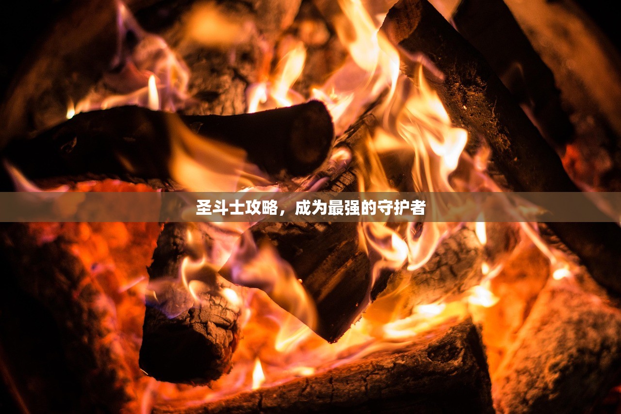 圣斗士攻略，成为最强的守护者