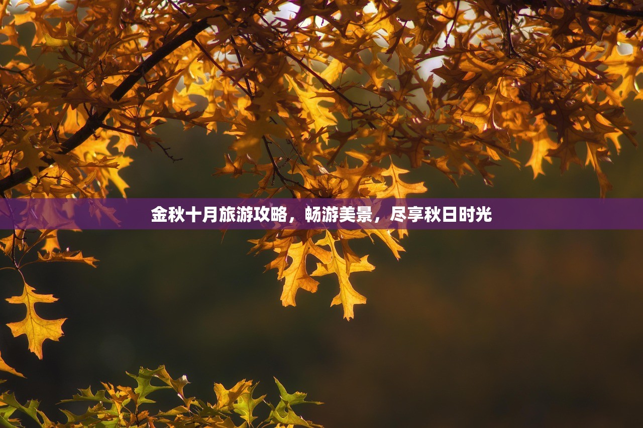 金秋十月旅游攻略，畅游美景，尽享秋日时光